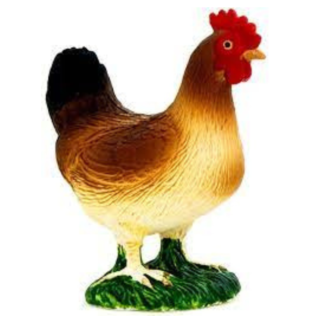 Standing Hen