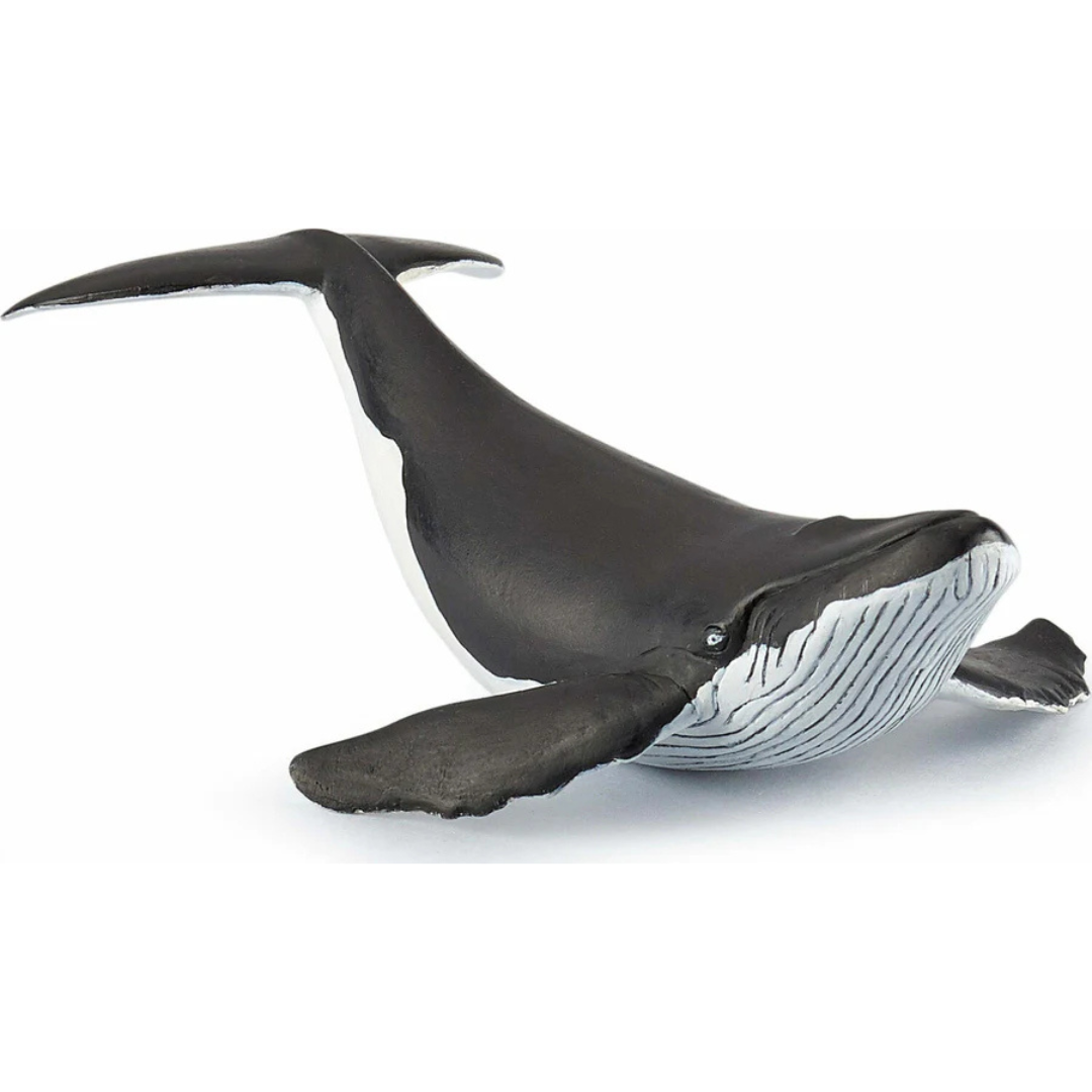 Papo Whale Calf