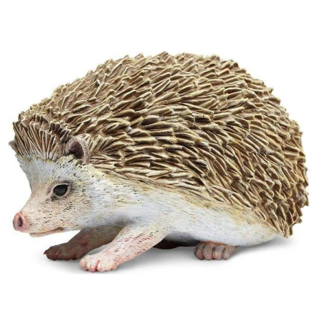 Hedgehog Toy