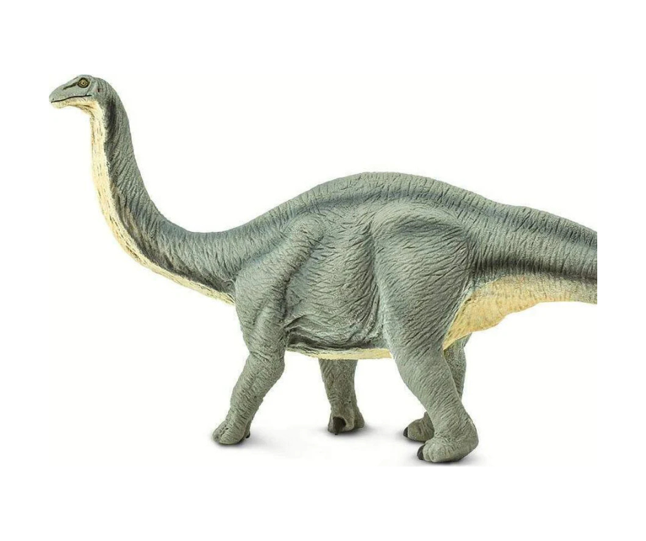 Apatosaurus Toy