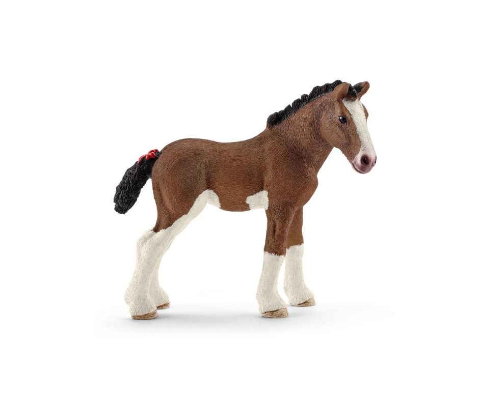 Clydesdale Foal