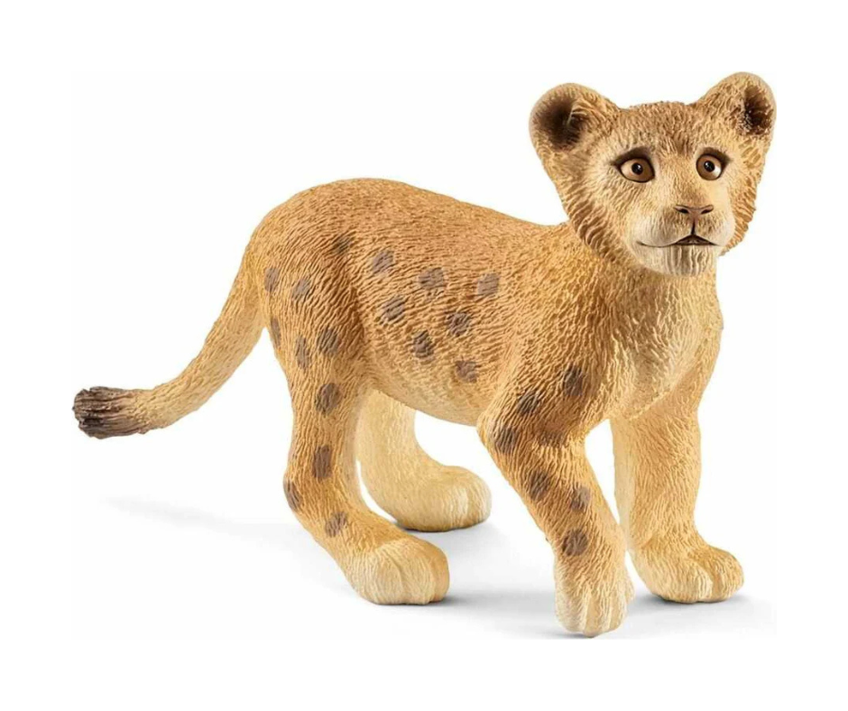 Lion Cub