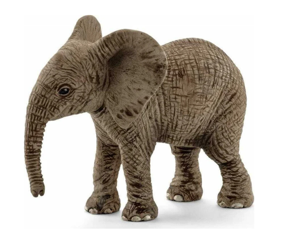 African Baby Elephant