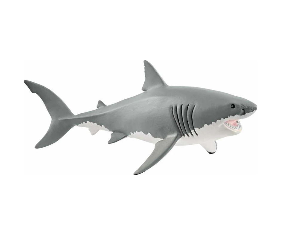 Great White Shark