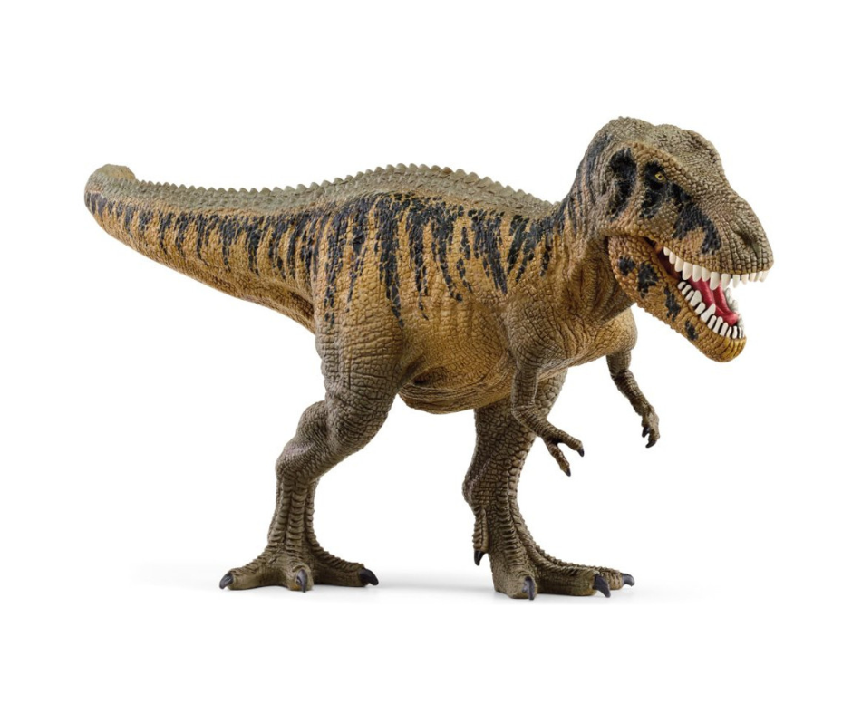 Tarbosaurus