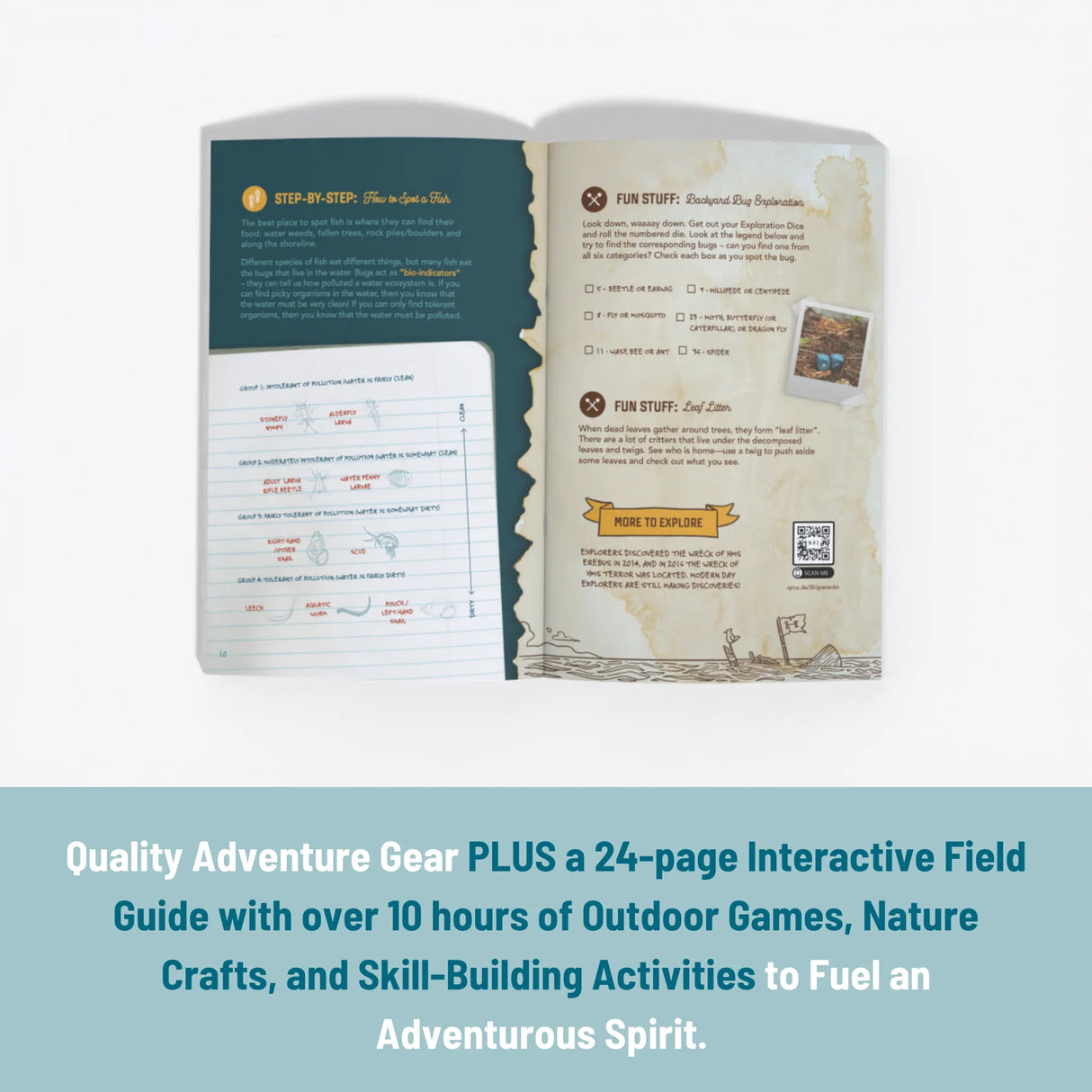 Bold Explorer