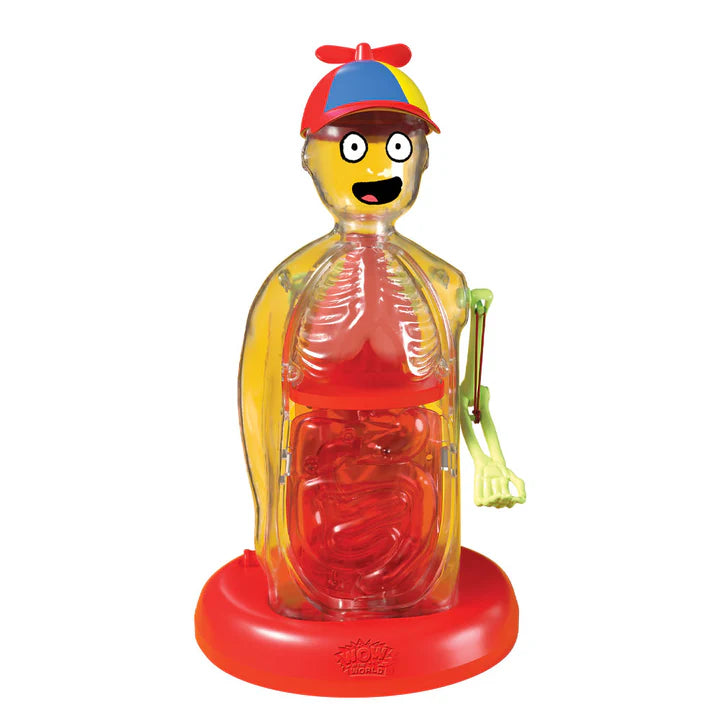 Wow in the World The Amazing Human Body