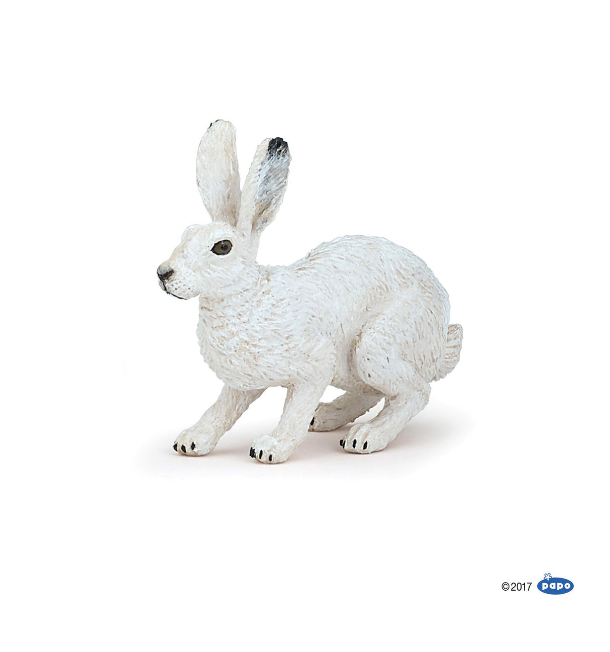 Artic Hare