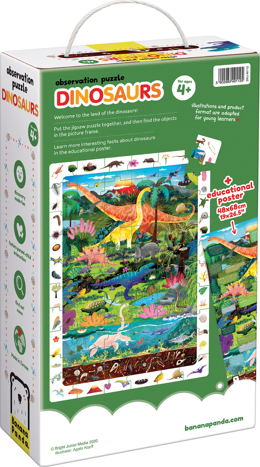 Observation Puzzle Dinosaurs