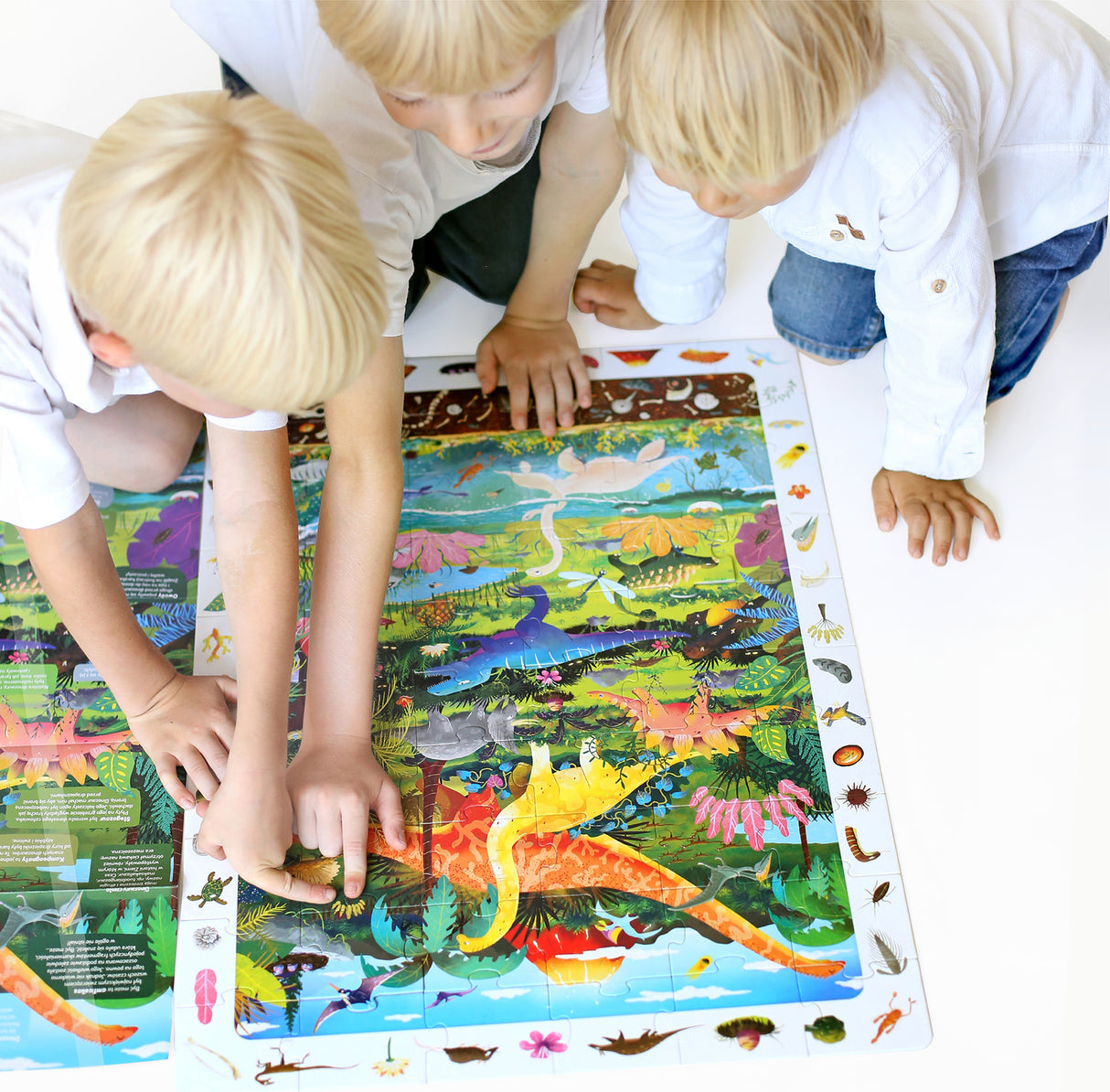 Observation Puzzle Dinosaurs