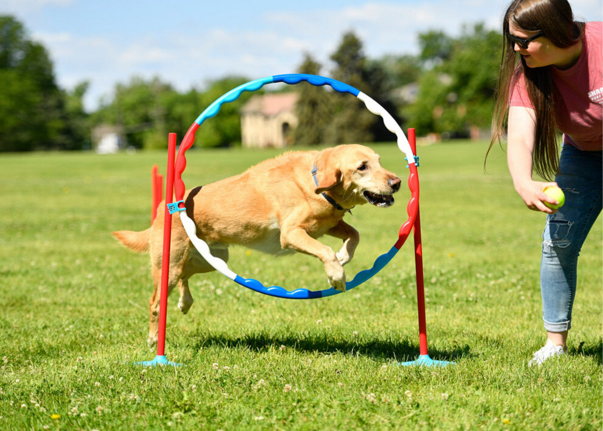 American Ninja Warrior Family Agility Set