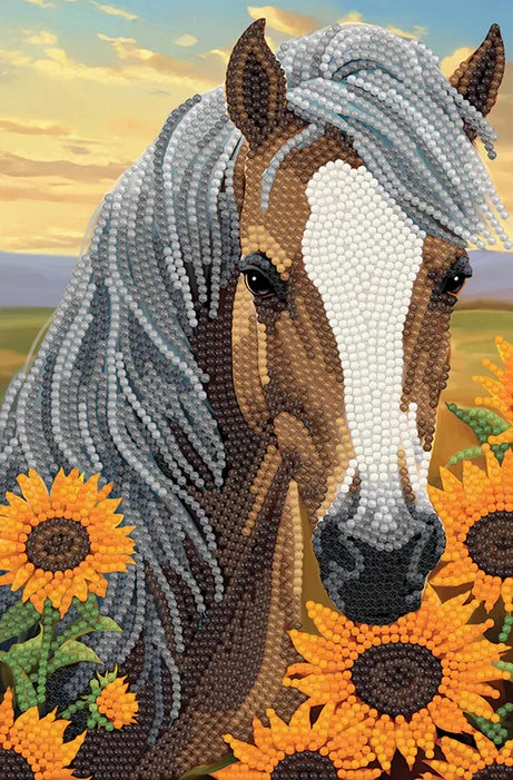 Crystal Art Notebook Kit Horse with Sunflowers