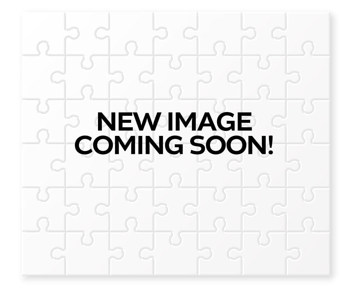 60 piece Ballet Rehearsal Puzzle
