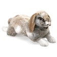 Folkmanis Puppet Holland Lop Rabbit