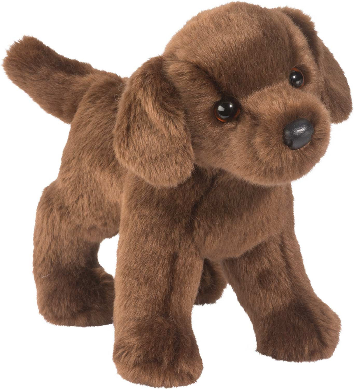 Tucker Chocolate Lab