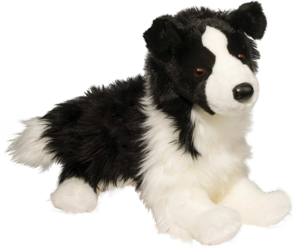 Chase Border Collie Dog