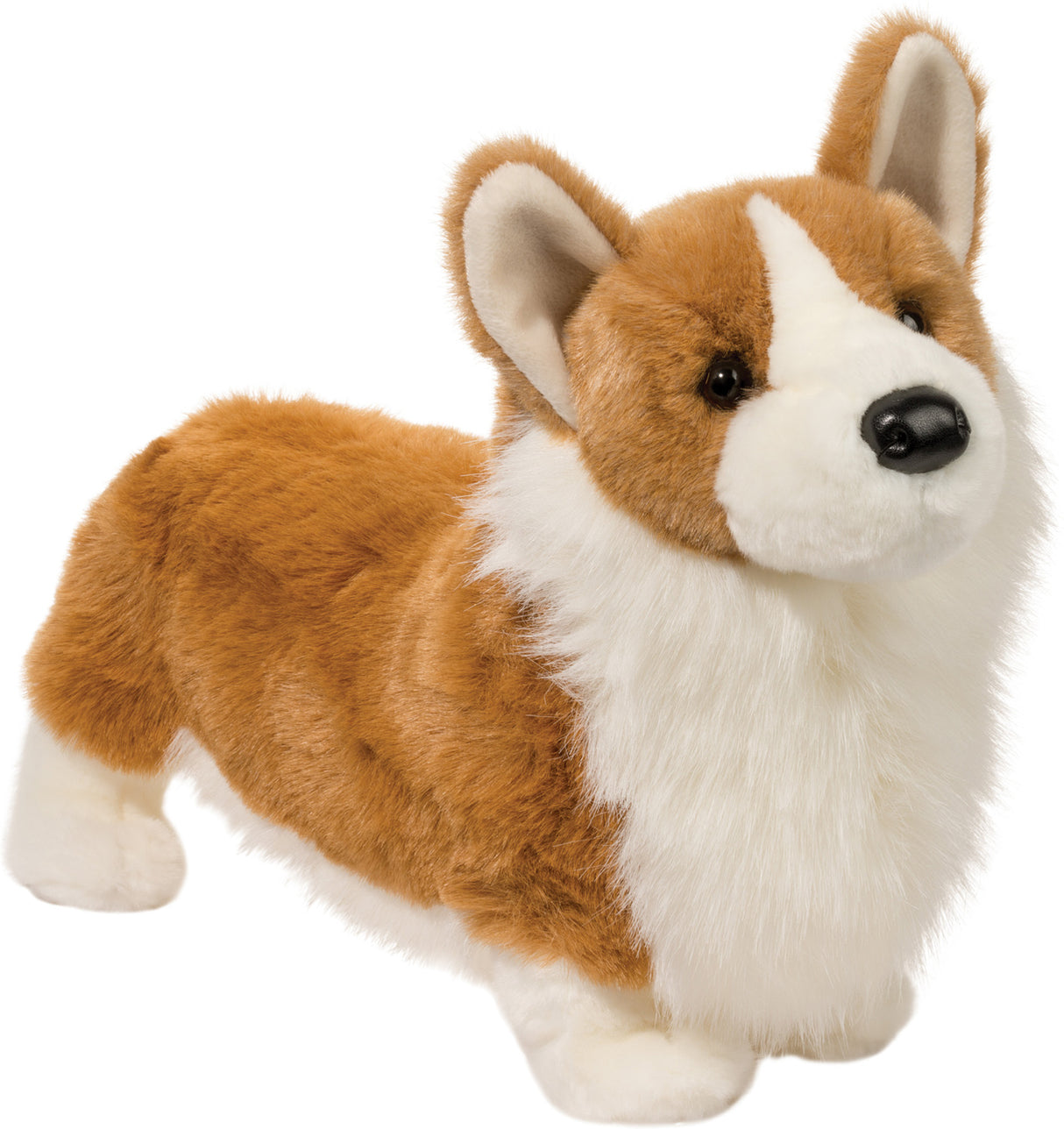 Chadwick Corgi