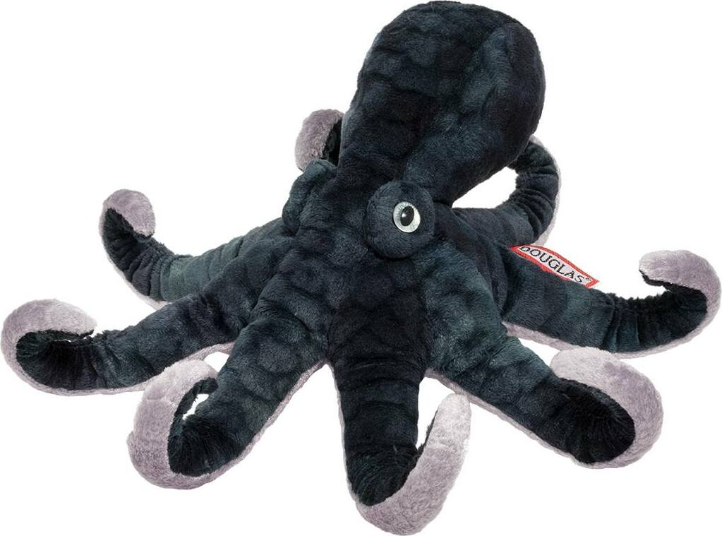 Winky Octopus
