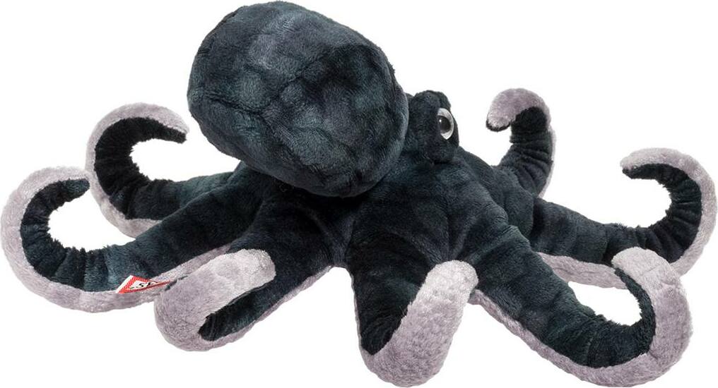 Winky Octopus