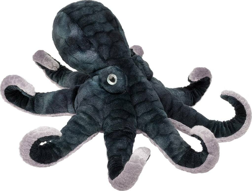 Winky Octopus
