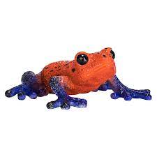 Poison Dart Tree Frog