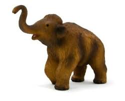 Woolly Mammoth Calf