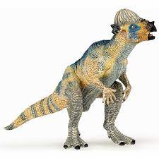 Baby Pachycephalosaurus