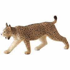 Iberian Lynx