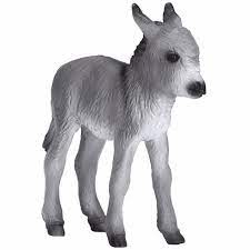 Donkey Foal