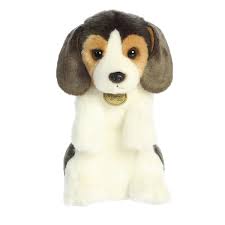 Miyoni Beagle Pup Sitting Pretty