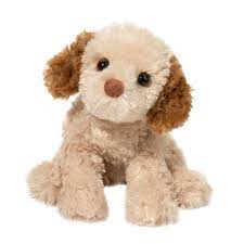 Biscuit Cavapoo Dog