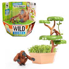 Wild Scenes Orangutans