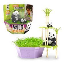 Wild Scenes Panda