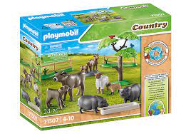 Animal Enclosure Country