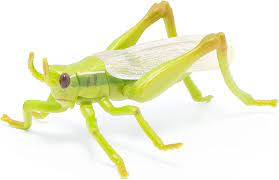 Papo Grasshopper