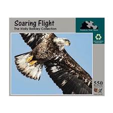 Soaring Flight 550 pc
