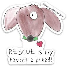 Rescue Is My Favorite Breed