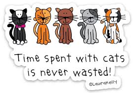 Time Spent With Cats Is Never