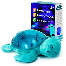 Tranquil Turtle Aqua