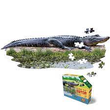 100 pc I Am Lil' Gator