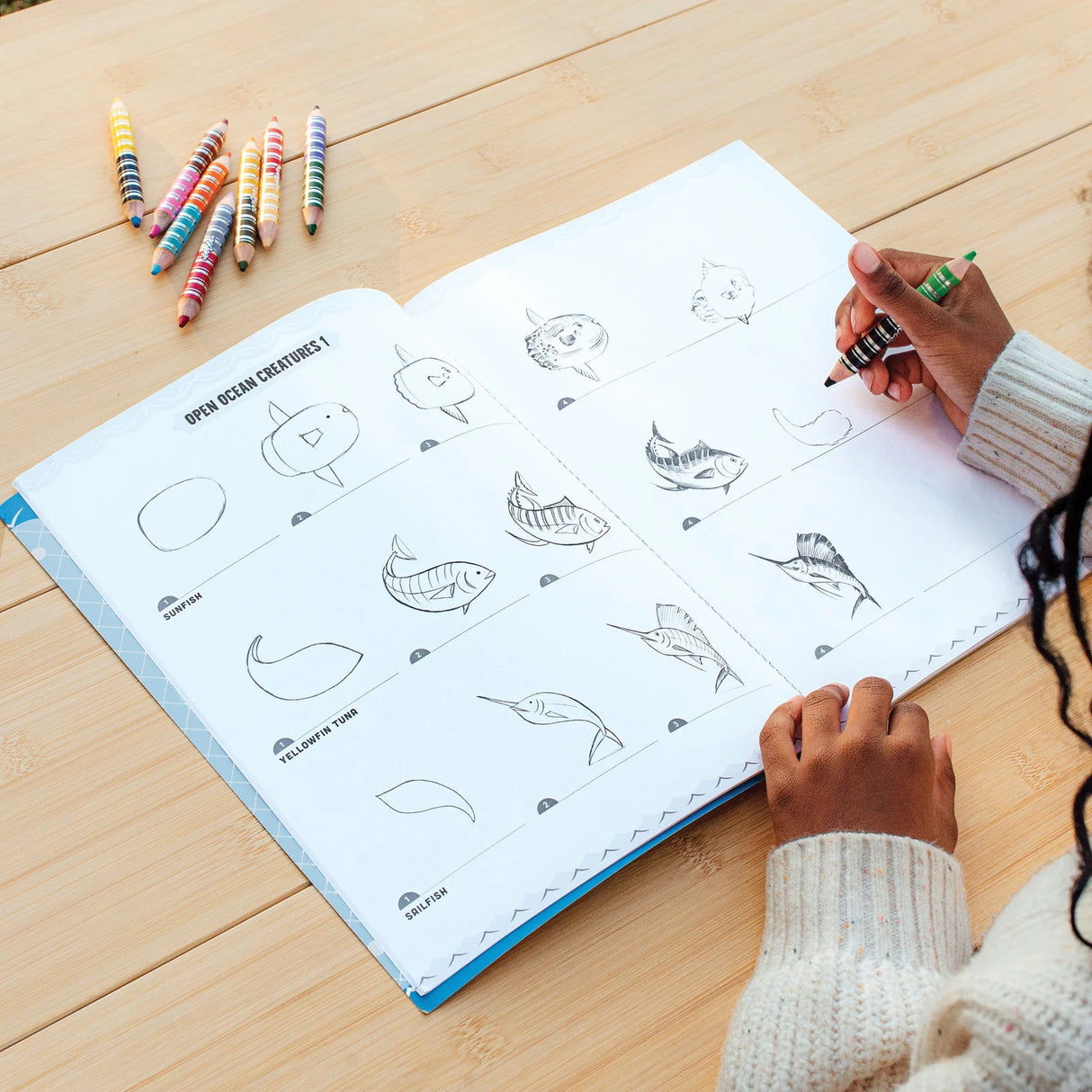 Learn to Draw Under the Sea (Art book with Stickers)