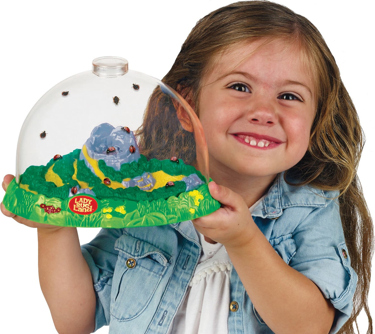 Insect Lore Live Ladybug Land