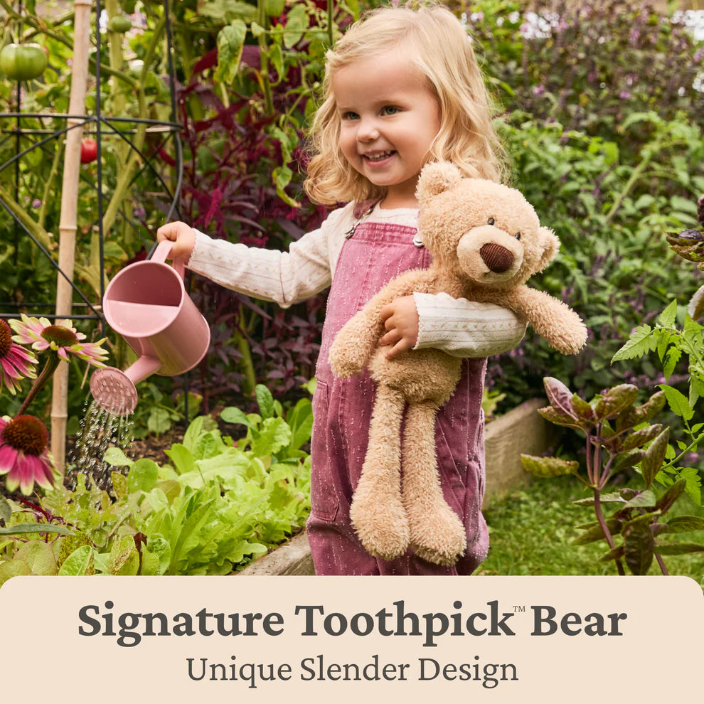 7" Friends Forever Toothpick Bear