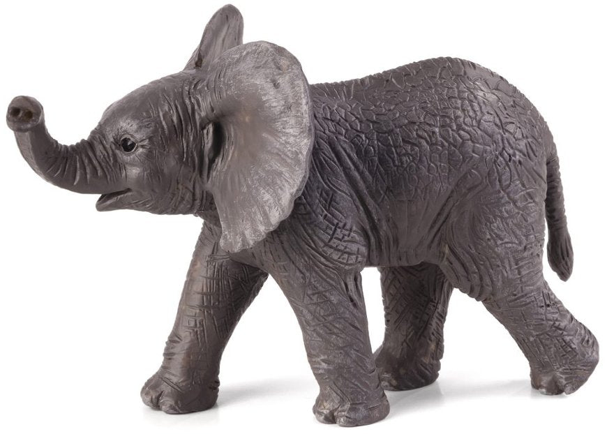 African elephant Baby