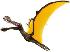 Tropeognathus