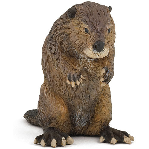 Beaver