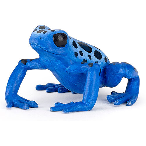 Equatorial Blue Frog