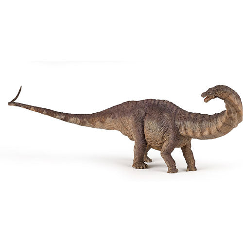 Apatosaurus