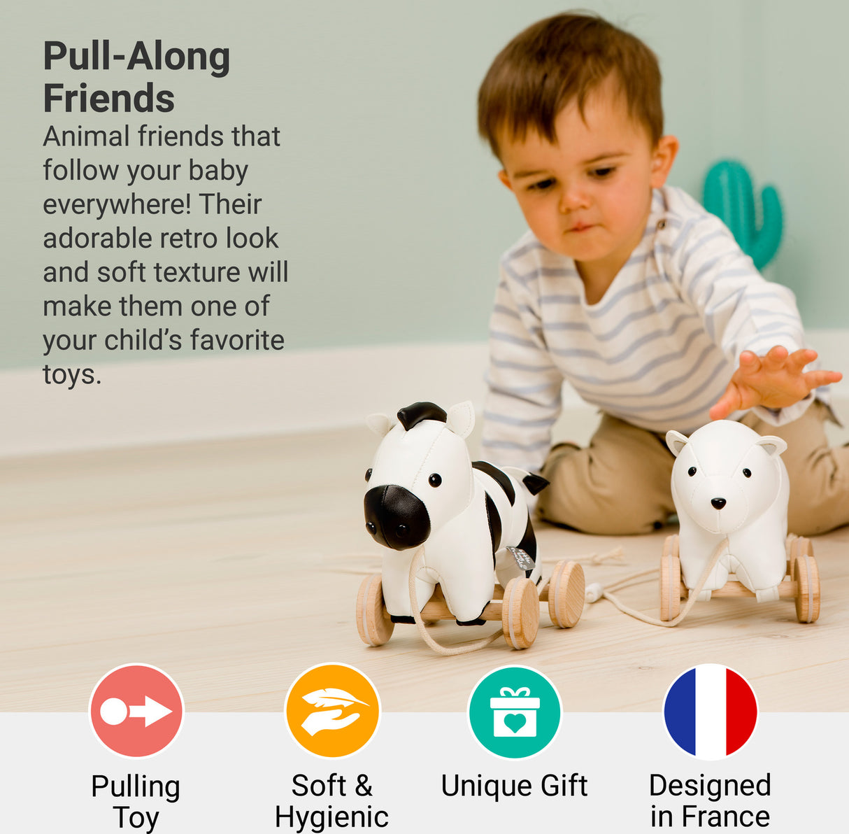 Pull Along Friends - Robert the Zebra