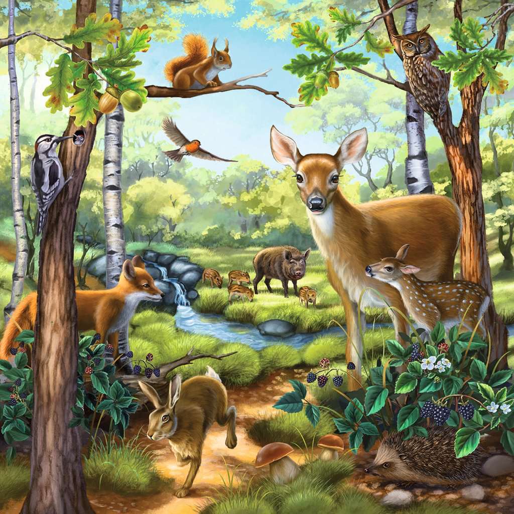 Forest/Zoo/Domestic Anim. 3x49 Pc Puzzle